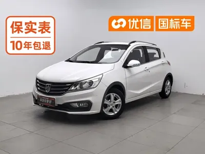 Baojun 310
