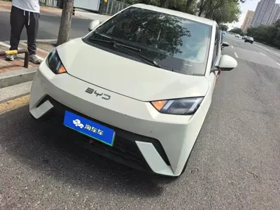 BYD Seagull