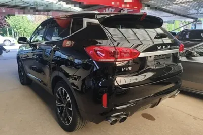 WEY VV6