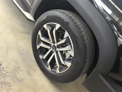 Haval Big Dog