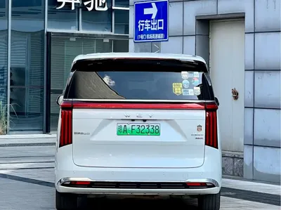 WEY Wey Gaoshan
