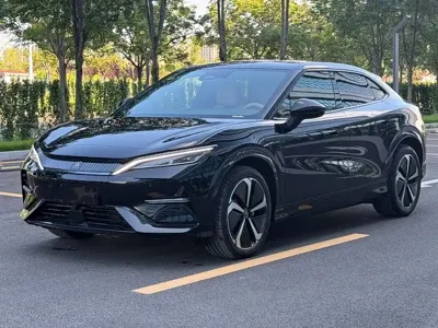 BYD L EV