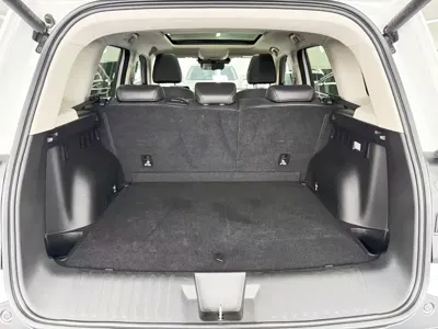 Haval Big Dog