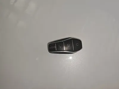 BYD L DM-i