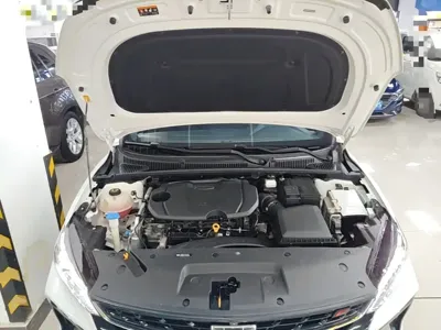 Geely Binrui