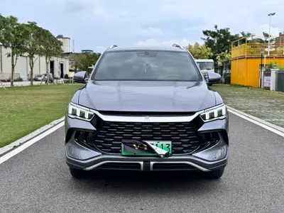 BYD Pro New Energy