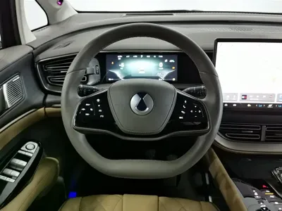 Denza Denza D9