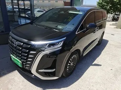 Denza Denza D9