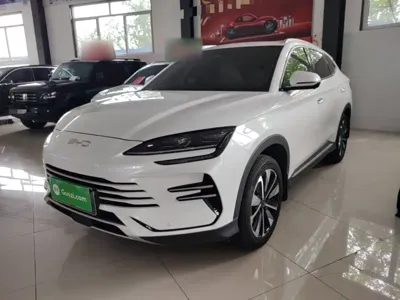 BYD PLUS New Energy