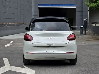 Wuling Bingo