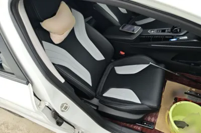 Geely Auto Binray