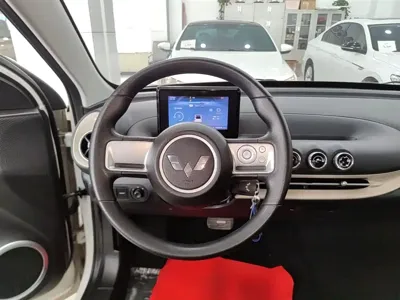 Wuling Bingo