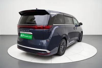 Denza D9