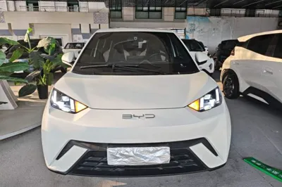 BYD Seagull