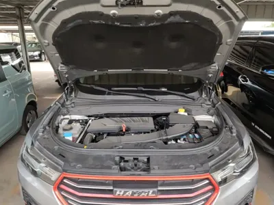 Haval H4