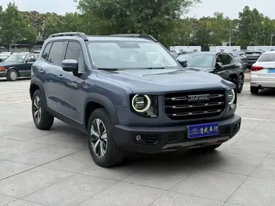 Haval Big Dog