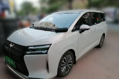 Wuling Wuling Starlight 730