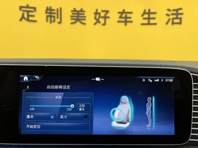 Mercedes-Benz 奔驰GLE(进口)
