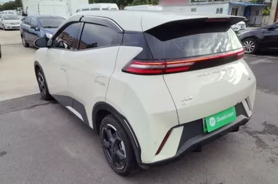BYD Seagull