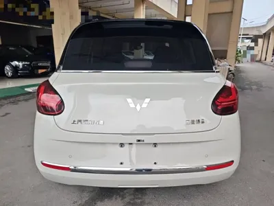 Wuling Bingo