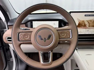 Wuling 缤果S