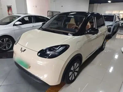 Wuling Bingo