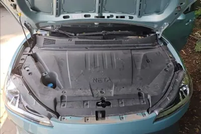 NETA V