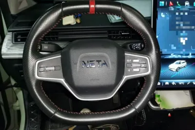 NETA V