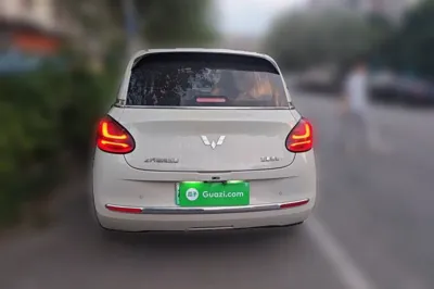 Wuling Bingo