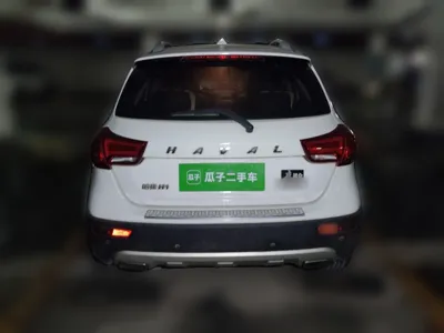 Haval H1