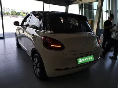 Wuling Bingo
