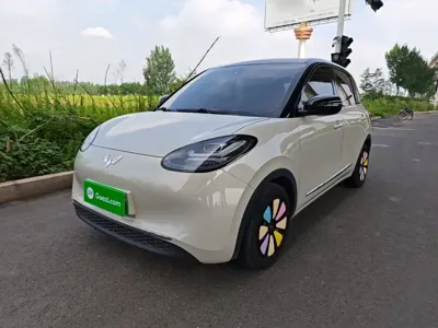 Wuling Bingo