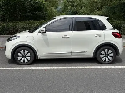 Wuling Bingo