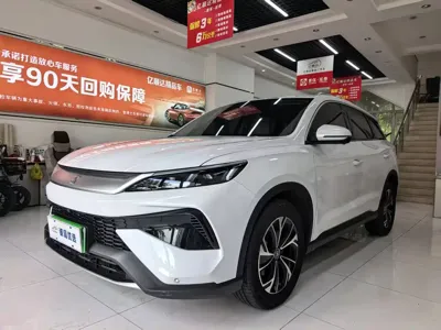 BYD Pro New Energy