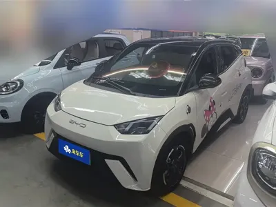 BYD Seagull