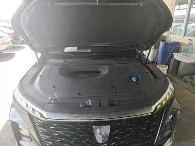 Roewe RX5 Max