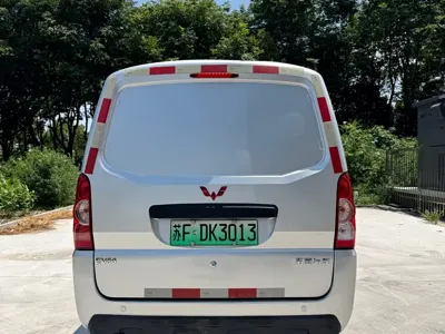 Wuling Wuling EV50