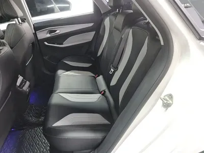 Geely Binrui