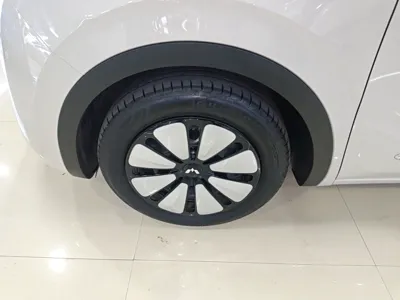 Wuling Bingo
