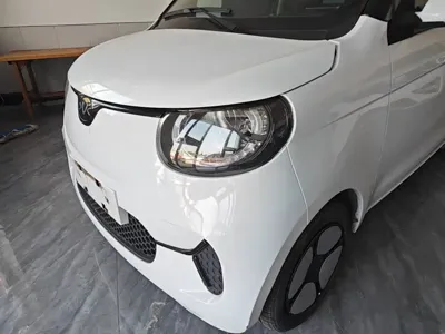 FERRAL EV