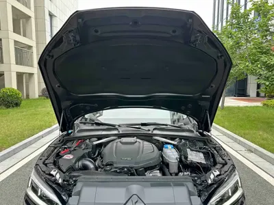 Audi A5 (Import)