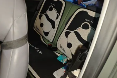 Geely Galaxy Panda