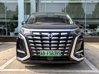 Denza Denza D9