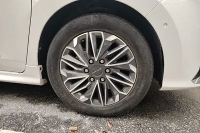 SAIC MAXUS G20