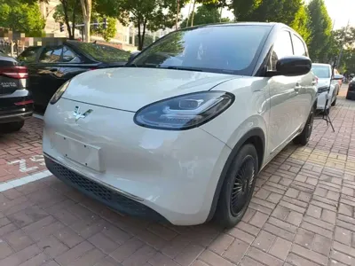 Wuling Bingo
