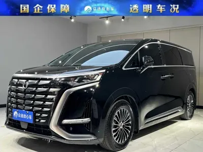 Denza Denza D9