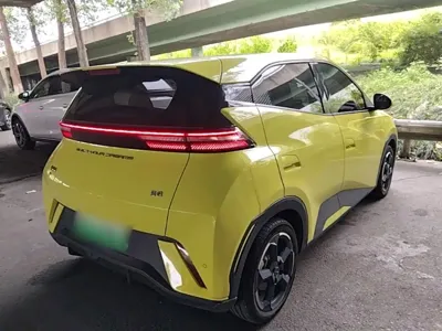 BYD Seagull