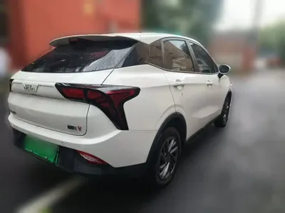 NETA Neta V