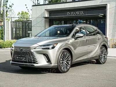 Lexus RX New Energy