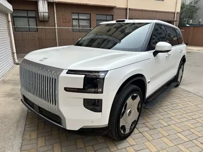 Zeekr 极氪9X